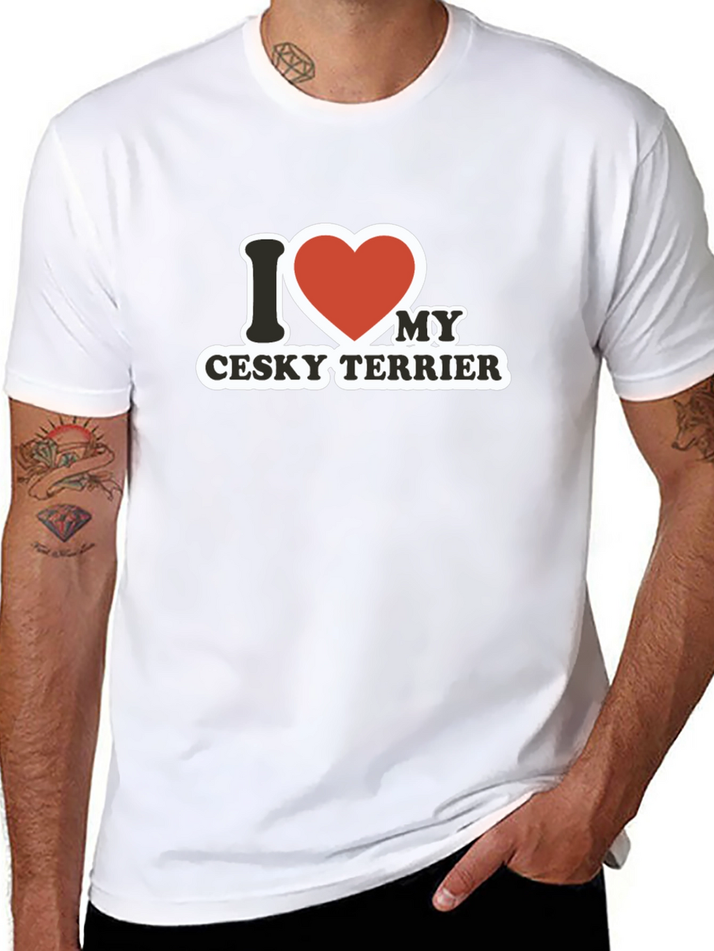 I Love My Cesky Terrier T-Shirt