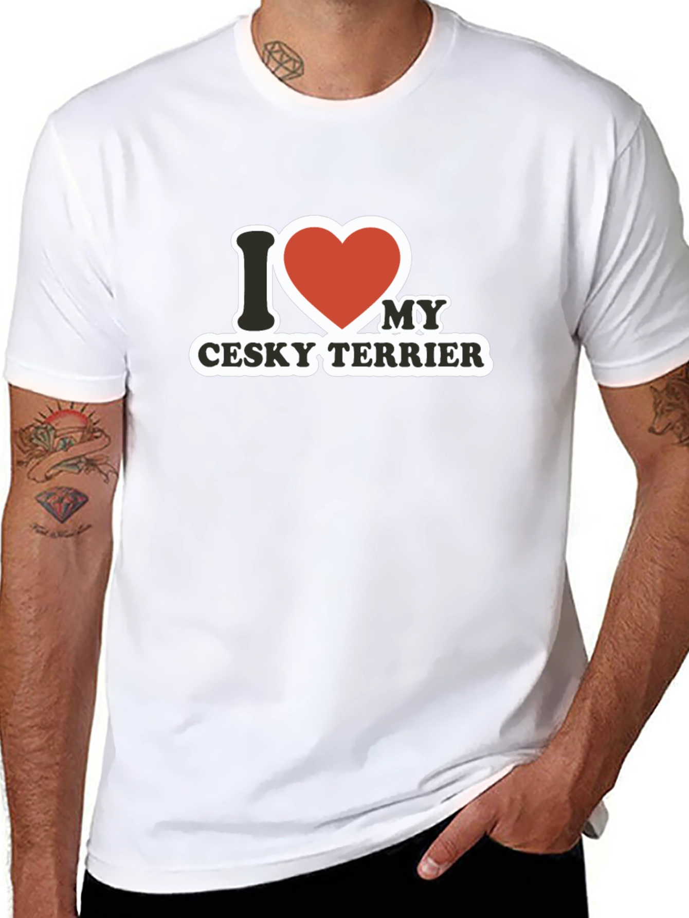 I Love My Cesky Terrier T-Shirt