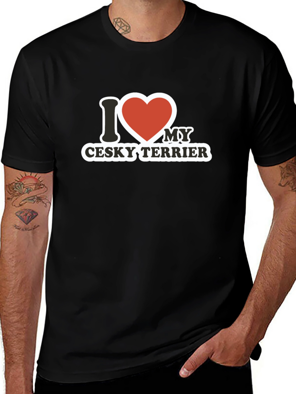 I Love My Cesky Terrier T-Shirt