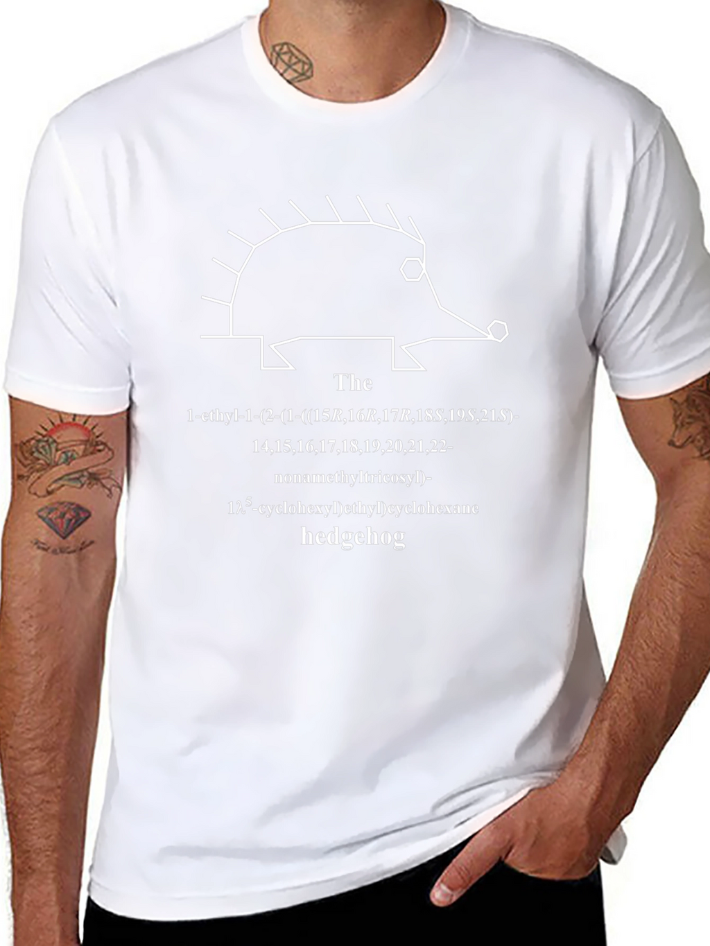 Hedgehog Molecule T-Shirt - Science Geek Tee