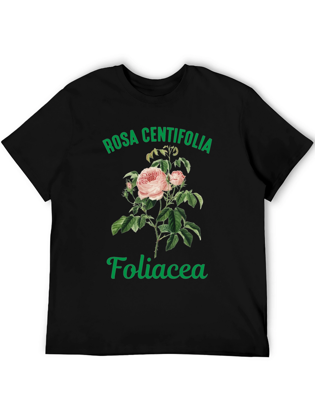 Rosa Centifolia Foliacea Graphic Tee