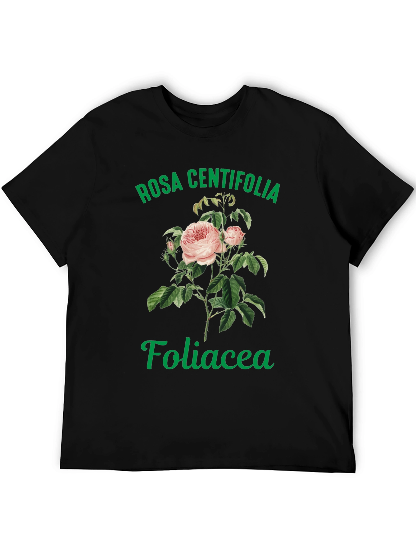 Rosa Centifolia Foliacea Graphic Tee