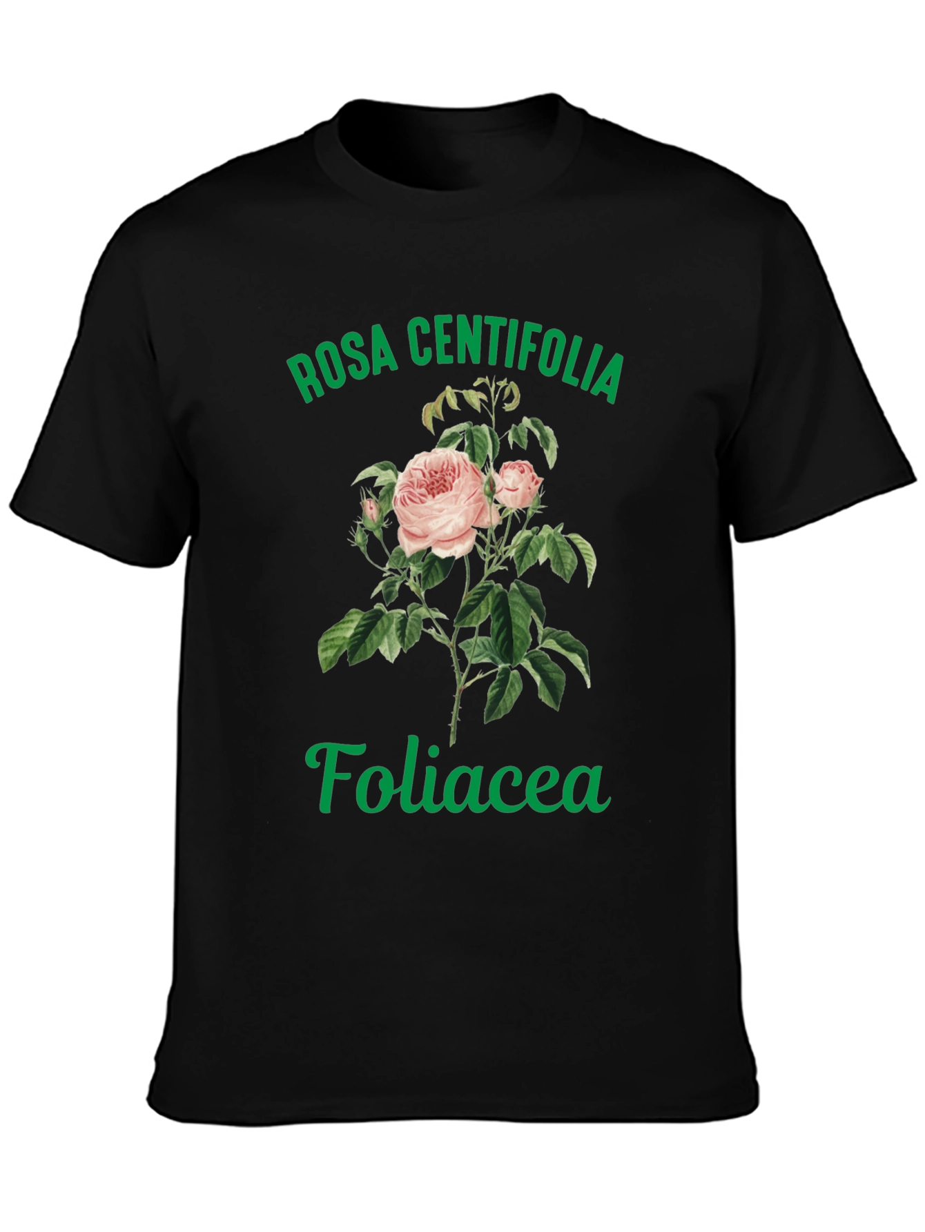 Rosa Centifolia Foliacea Graphic Tee
