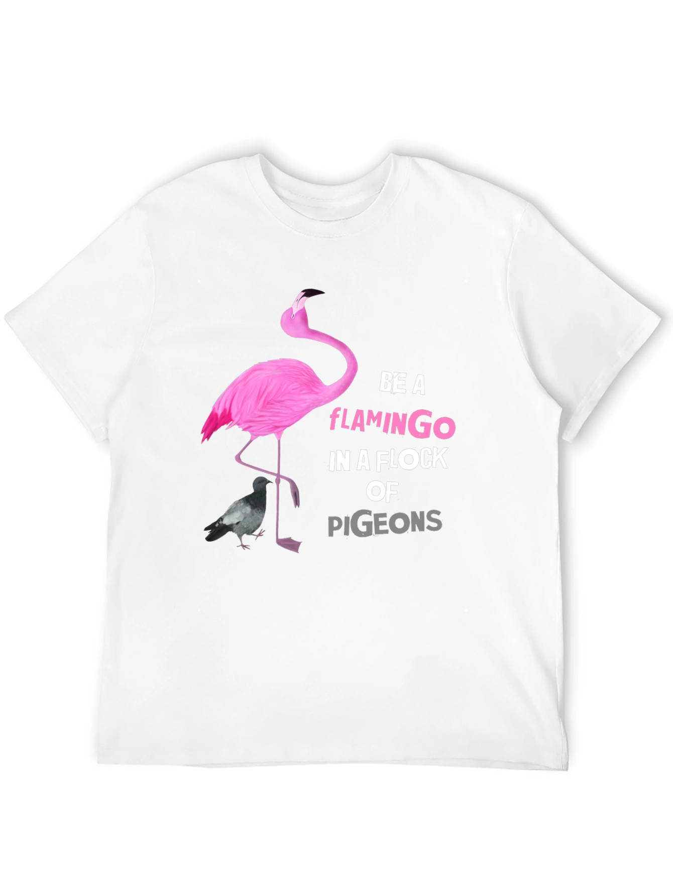 Be A Flamingo Graphic T-Shirt