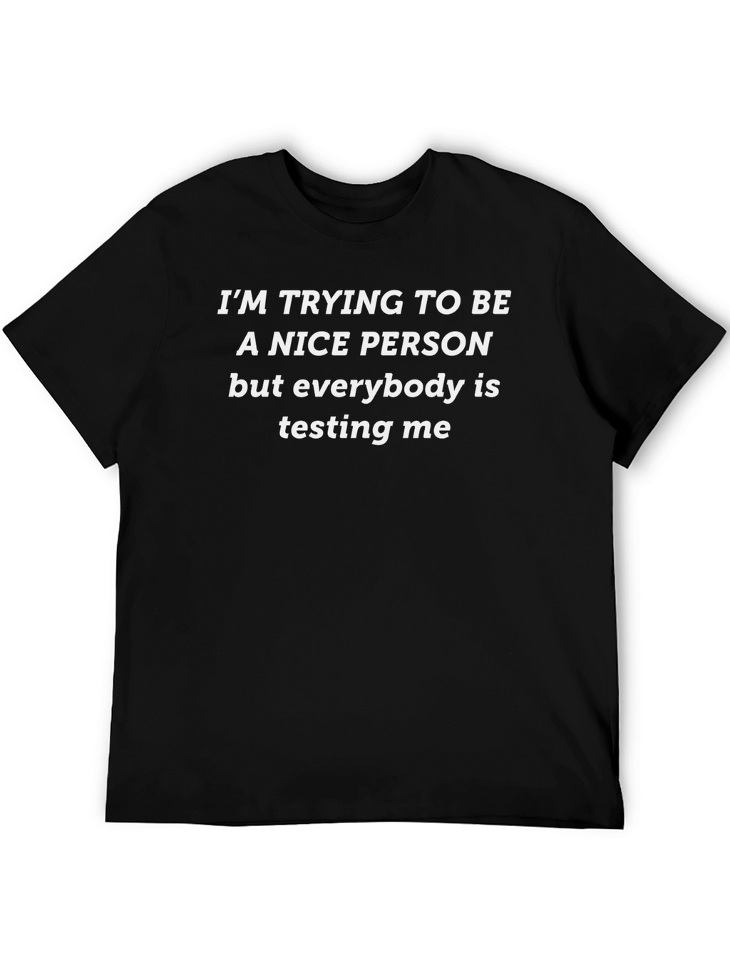 Funny Sarcastic T-Shirt: Nice Person Testing Me