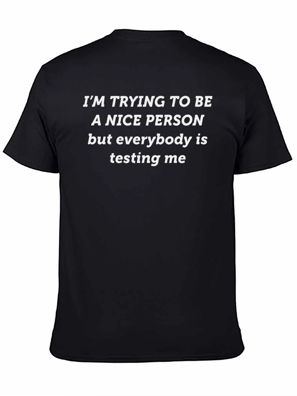 Funny Sarcastic T-Shirt: Nice Person Testing Me