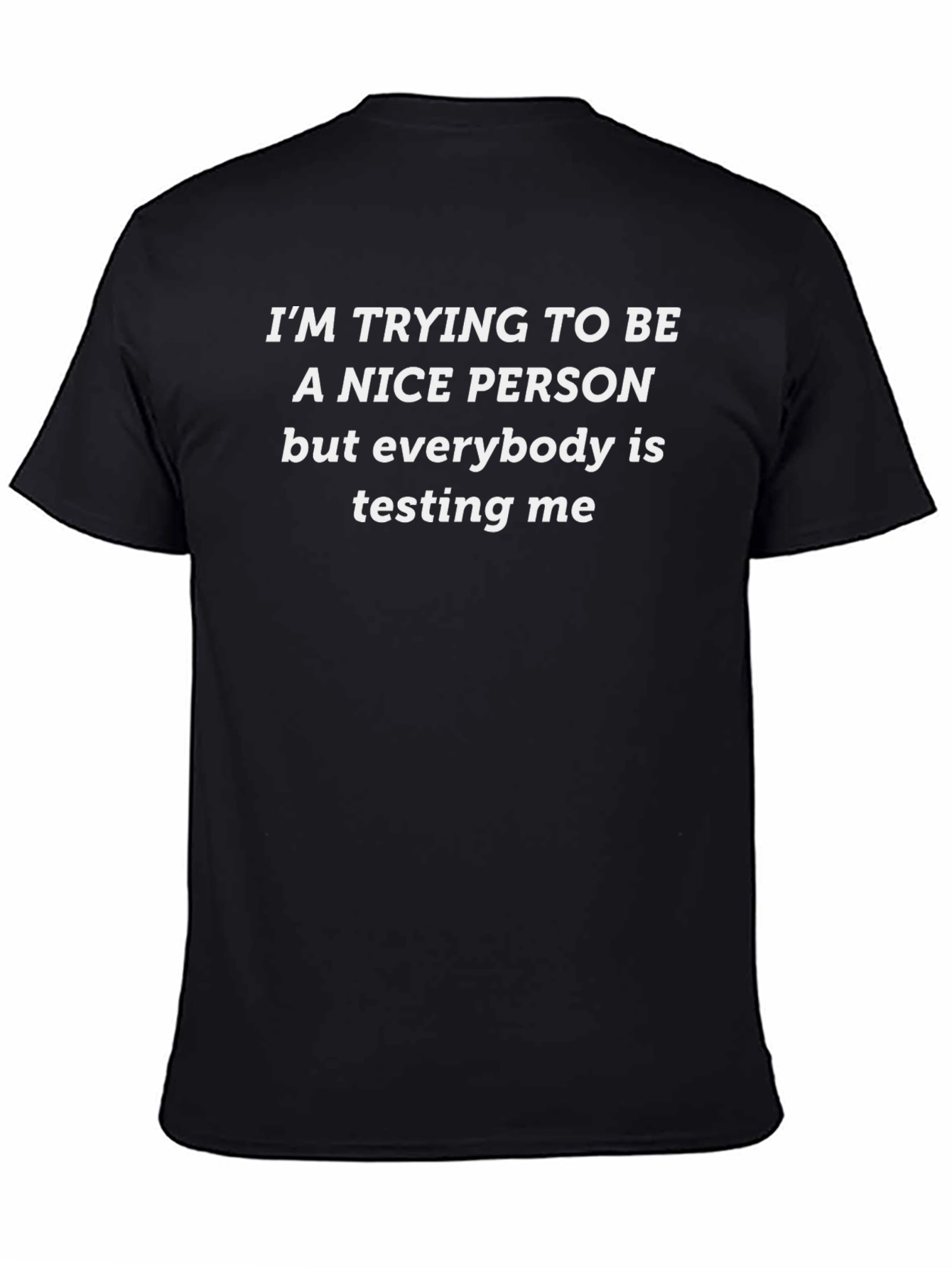 Funny Sarcastic T-Shirt: Nice Person Testing Me
