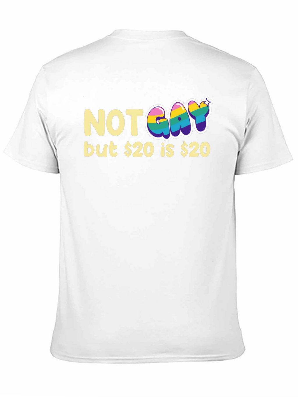 Not Gay but $20 T-Shirt Funny Graphic Tee