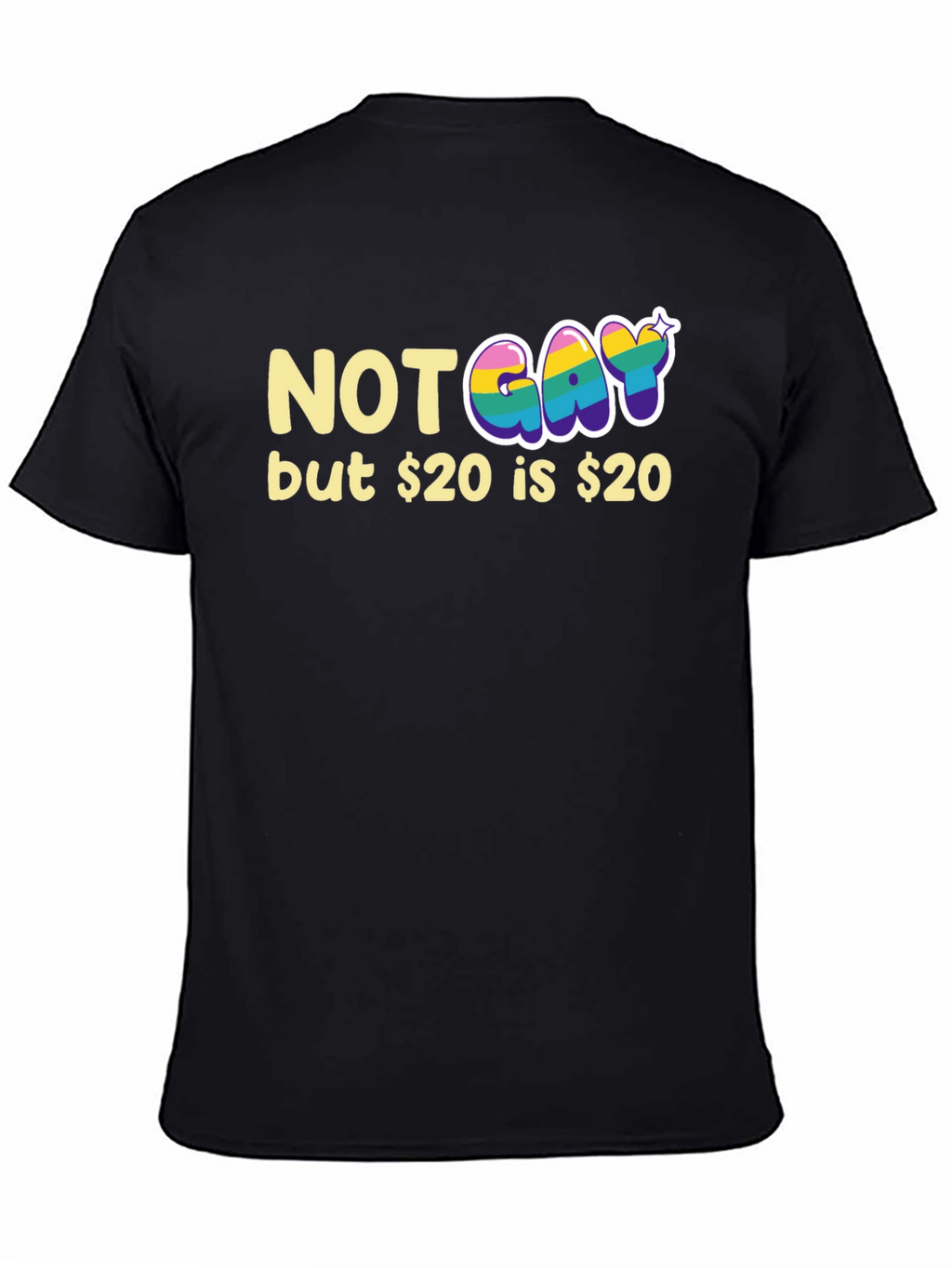 Not Gay but $20 T-Shirt Funny Graphic Tee