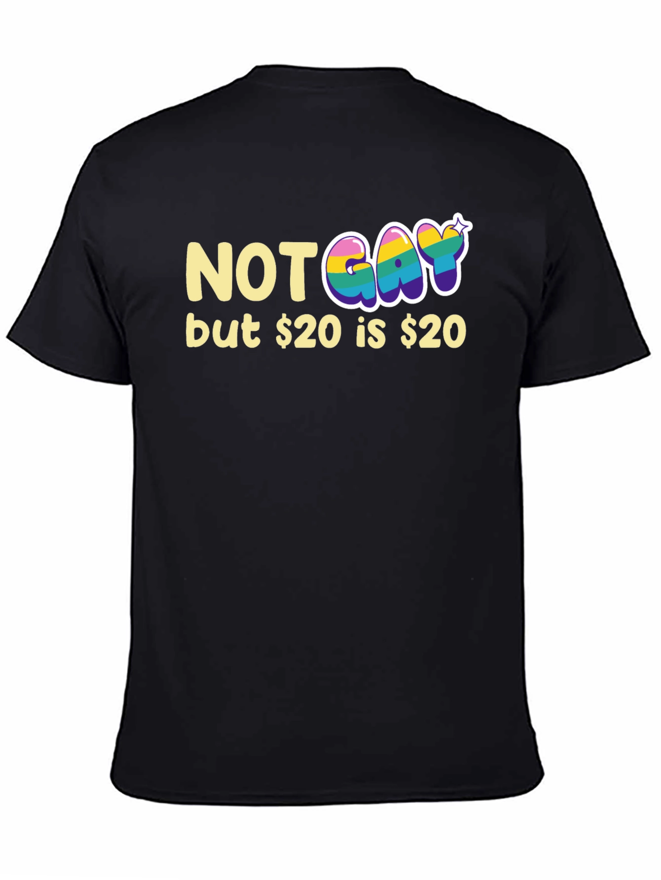 Not Gay but $20 T-Shirt Funny Graphic Tee