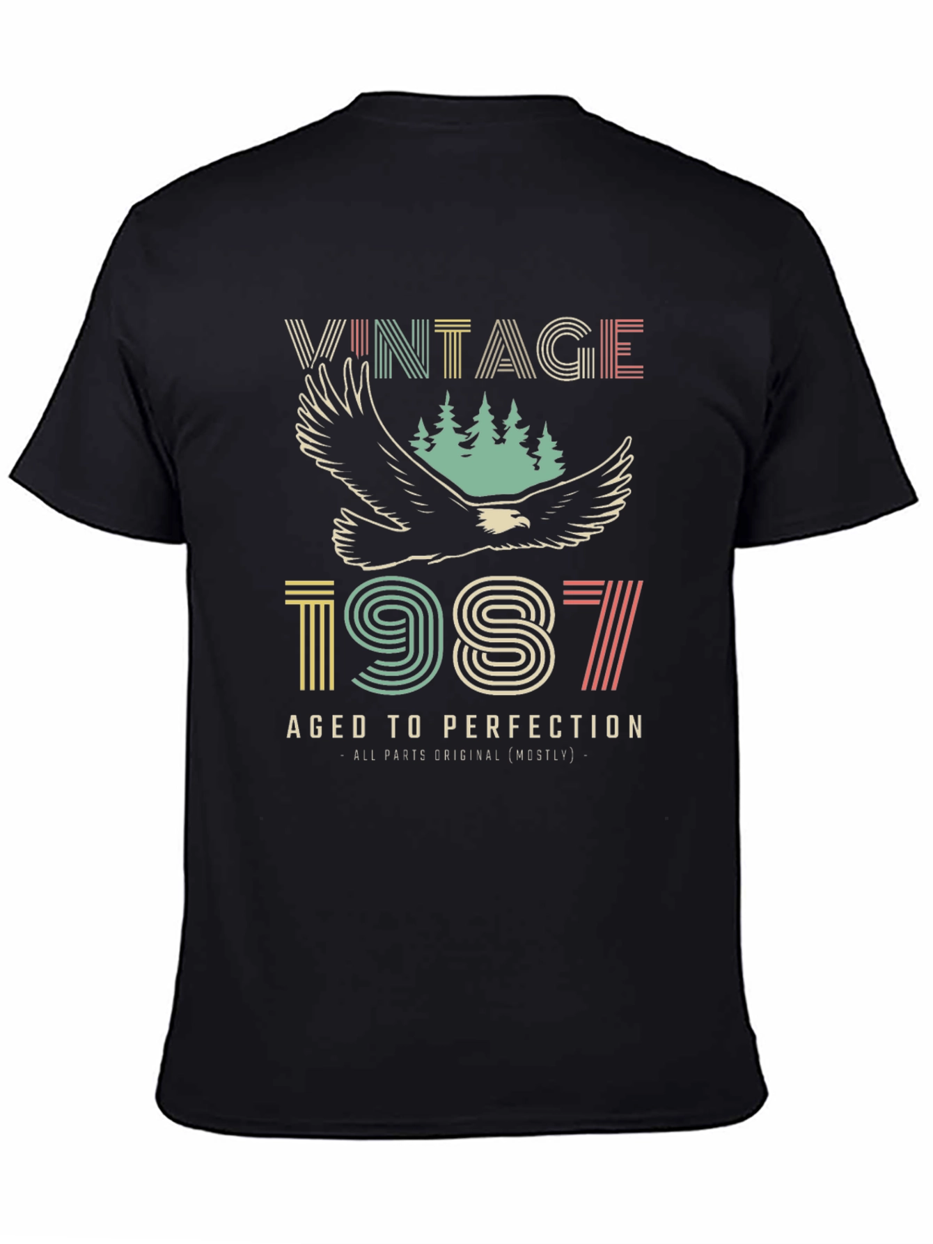 Vintage 1987 Aged to Perfection Graphic Tee